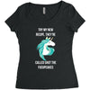 Funny Unicorn Women's Triblend Scoop T-shirt