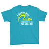 I Don't Care How Many Miles Per Gallon Youth Tee