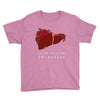 liver cancer awareness Youth Tee