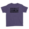 Animals Are Not Ingredients Youth Tee