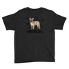 anatomy Youth Tee