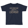 live every day like it's caturday Toddler T-shirt