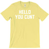 hello you c'nt T-Shirt
