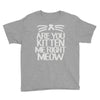 are you kitten me right meow Youth Tee