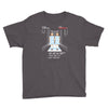 all play and no work Youth Tee