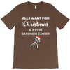 all i want for christmas is a cure carcinoid cancer T-Shirt