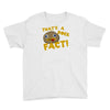 rock fact Youth Tee