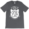 i only have one cat my cat has a few cat T-Shirt