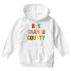 Rex Orange County - Colors Youth Hoodie