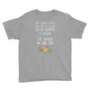 ice cream or a felony Youth Tee