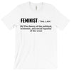 Feminist Noun T-Shirt
