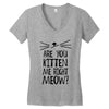 are you kitten me girls Women's V-Neck T-Shirt