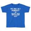 perfect welsh Toddler T-shirt