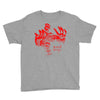 Death Grips Youth Tee