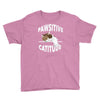 pawsitive catitude Youth Tee