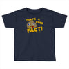 rock fact Toddler T-shirt