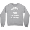 chiuso x ferie dal 1 gennaio al 31 dicembre Crewneck Sweatshirt