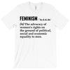 Feminism Noun T-Shirt