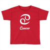 cancer zodiac Toddler T-shirt