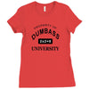 dumbass university t shirt school party funny tee Ladies Fitted T-Shirt
