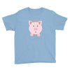 cute surprised pig pig Youth Tee