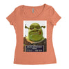 shrek mug shot funny Women's Triblend Scoop T-shirt