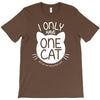 i only have one cat my cat has a few cat T-Shirt