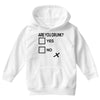 are you drunk check Youth Hoodie