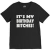 it's my birthday b...hes V-Neck Tee