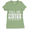 tell me why we shouldn't Ladies Fitted T-Shirt