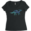 Princess Dinosaur Women's Triblend Scoop T-shirt