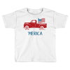 america 2 Toddler T-shirt