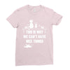 This Is Why We Can't Have Nice Things Ladies Fitted T-Shirt