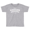 brett kavanaugh supreme court justice Toddler T-shirt