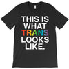 This Is What Trans Looks Like T-Shirt