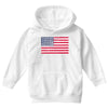 t-rex vintage american flag Youth Hoodie