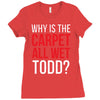 why is the carpet wet todd Ladies Fitted T-Shirt