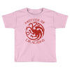 mother of dragons Toddler T-shirt
