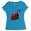 catpool Women's Triblend Scoop T-shirt