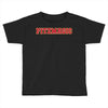 Fitzmagic Toddler T-shirt