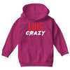 LIKE CRAZY Youth Hoodie