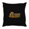 polymer records, ideal gift or birthday present funny Throw Pillow