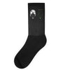 ice and fire Socks