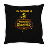kindergarten teacher1 Throw Pillow