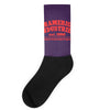 kramerica Socks