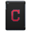 alphabet C iPad Mini