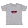 america flag Toddler T-shirt