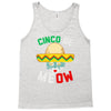 cinco de meow Tank Top