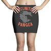 reunite pangea Mini Skirts