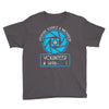 aperture science volunteer Youth Tee